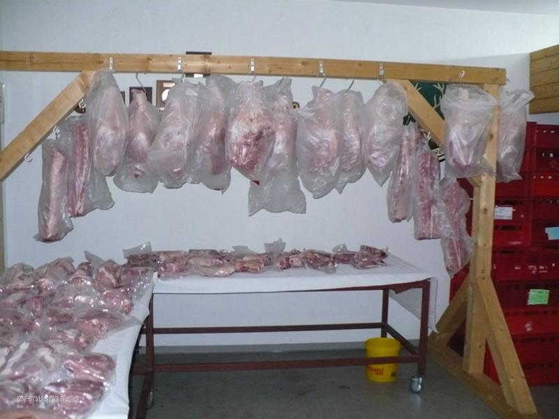 Preisverteilung Schweinepreisschießen 2010 – Bild 44 von 47