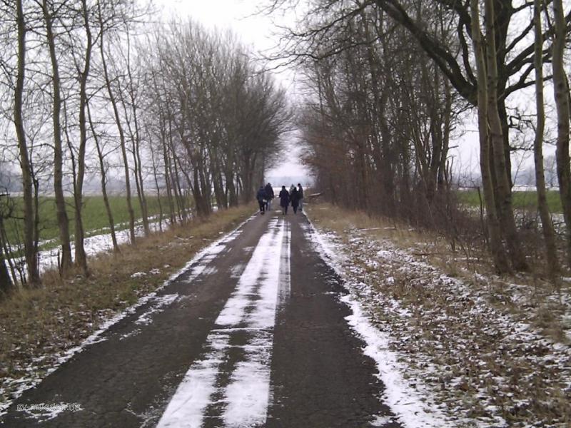 Königsboßeln – Bild 5 von 14